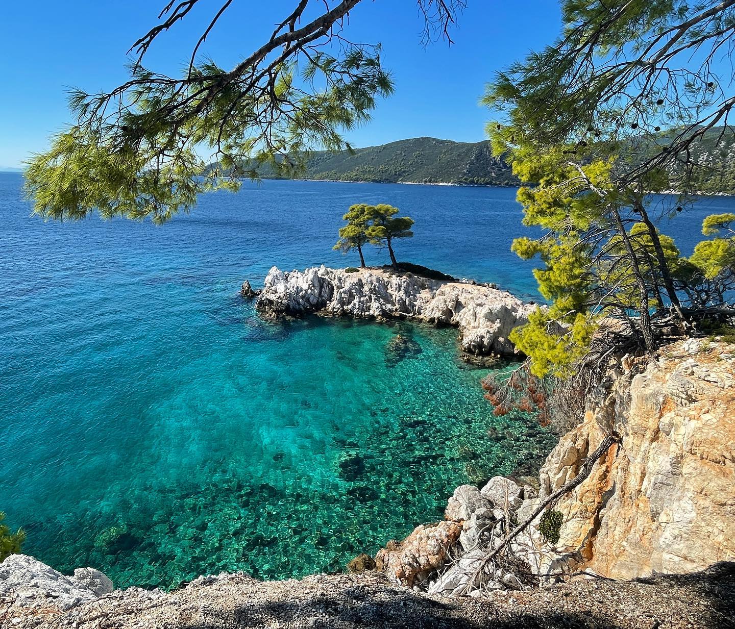 Are you a fan of the 2008 movie Mamma Mia? 🎶 

I recently traveled to Greece and visited the gorgeous island of Skopelos where they filmed most of the iconic musical! Thanks to @skopelos_excursions & @dolphinofskopelos, I enjoyed seeing the famous spots where all of my favorite scenes were filmed. Even if you haven’t seen the movie, Skopelos should be on your bucket list! It offers a tranquil atmosphere with very inviting clear waters and so much natural beauty every where you turn. @visitskopelosisland 🇫🇮💙
.
.
.
.
.
#greecetravel #greecelover #greecevacation #reasonstovisitgreece #islandsofgreece #travel_greece #visitgreece #discovergreece #beautifulgreece #islandlife #islandliving #mammamiafilm #mammamiagreece #mammamiafilmlocations #visitskopelosisland #skopelosgreece #skopelosexcursions #mammamiatour #beautifuldestinations #wonderful_places #prettylittletrips #pursuepretty #luxurytravel #luxurytraveler #wheretogonext #travelblogger #aroundtheworldpix #flashesofdelight #bucketlisttravel #passportready