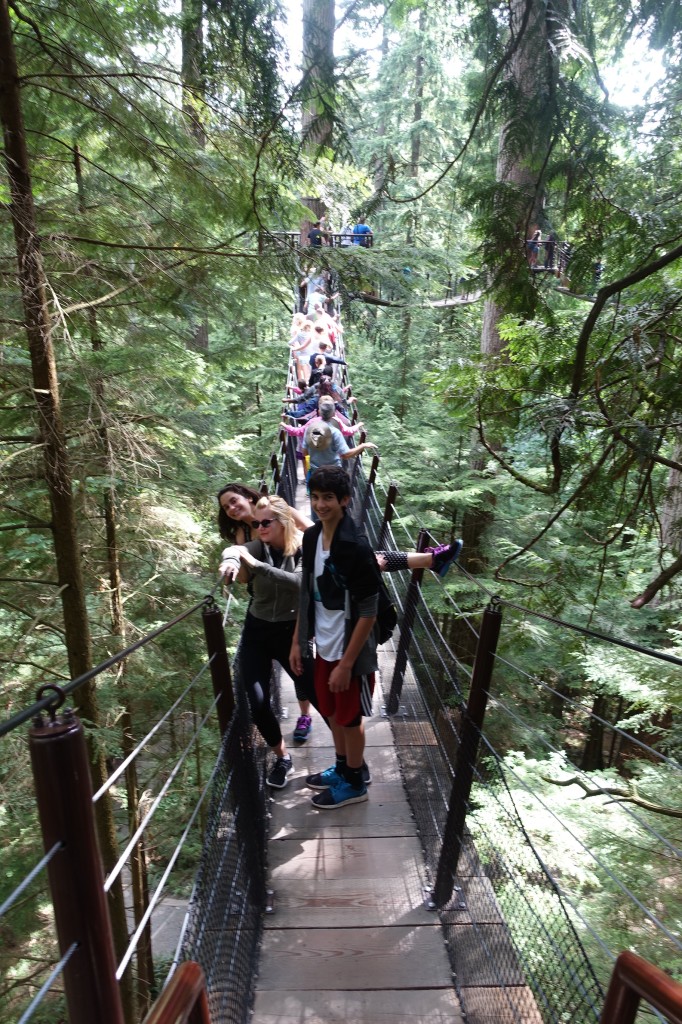 Treetop Adventure, Capilano Suspension Bridge Park