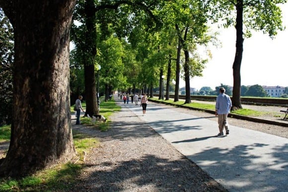 Lucca city walls pedestrian promenade, Italy 