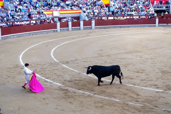 Bullfight at Plaza de Toros, Madrid 