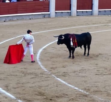 Should Bullfighting be Banned?
