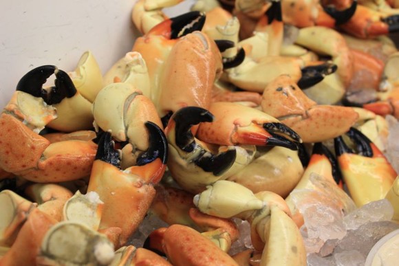 Stone Crabs at Norman Brothers Product Inc