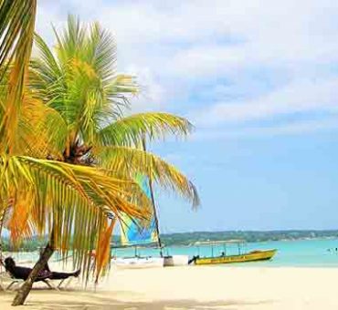 Top 5 Things to Do in Jamaica