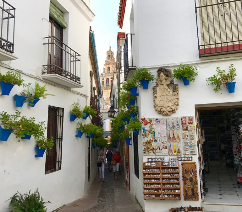 Calleja de las Flores Cordoba Spain