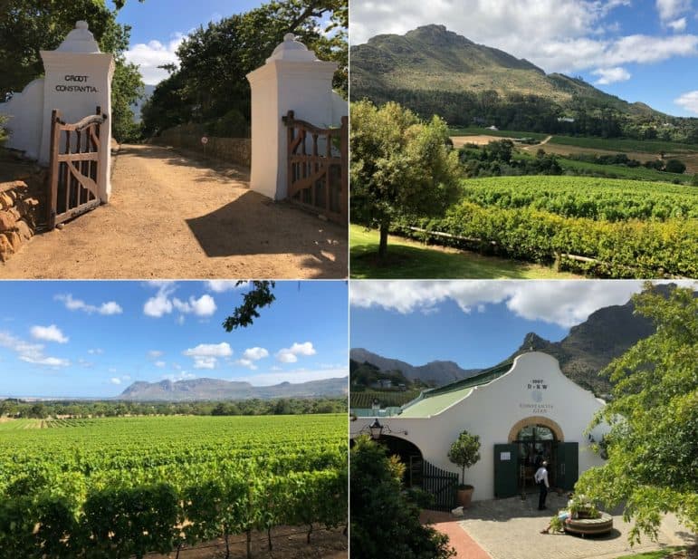 Constantia Glen Wine Estate inside Constantia Valley - Cape Town