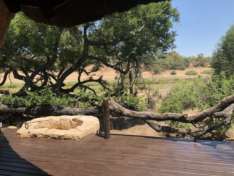 Pondoro Safari Game Lodge Tree Suite