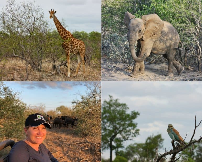 Pondoro Safari Game Drive 