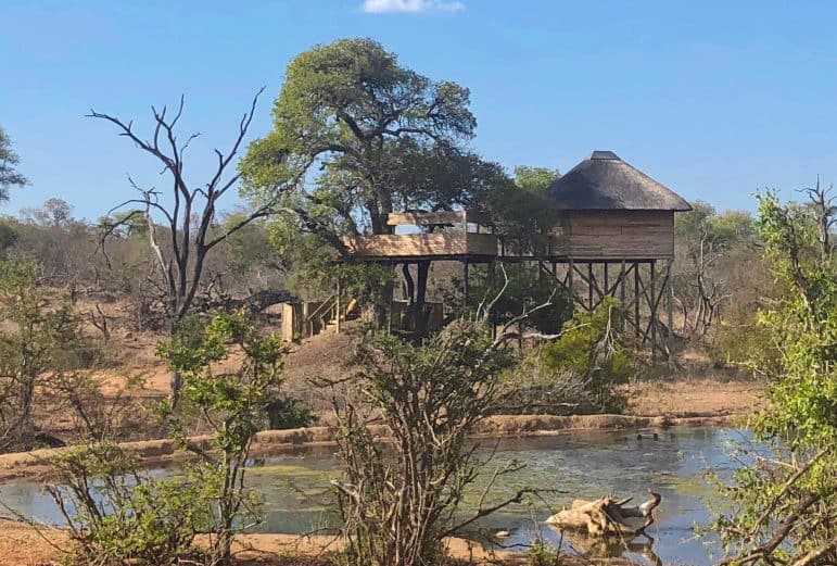 Pondoro Safari Game Lodge Treehouse 