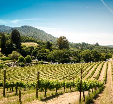 8 Things To Do When Visiting California Wine Country