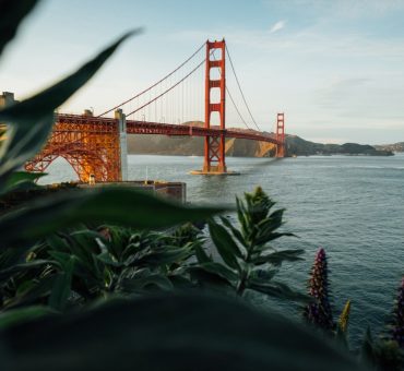 Touring the San Francisco Bay Area's Most Prestigious Wineries