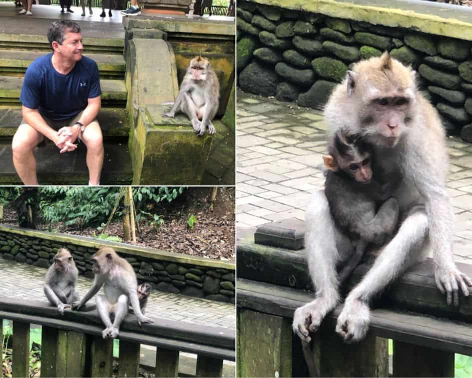 Monkey Forest Ubud