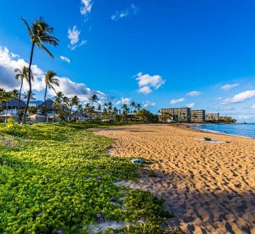 6 Holiday Tips for Your Visit to Maui