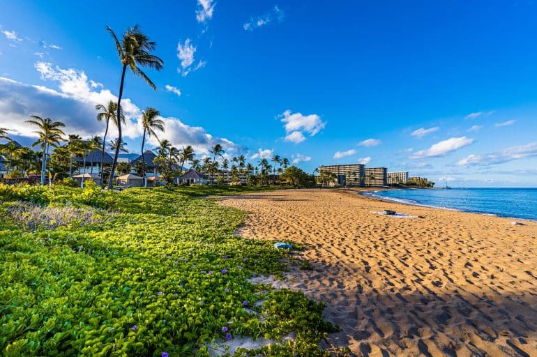 6 Holiday Tips for Your Visit to Maui