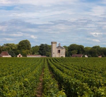 5 Tips for Wine Tasting in France: Your 5-Step Guide