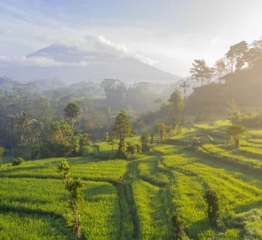 What To Know Before Traveling to Bali