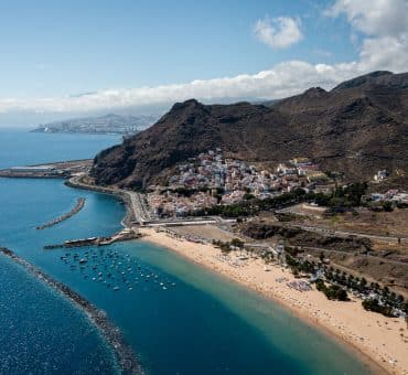 Why You Should Go Whale Watching in Tenerife