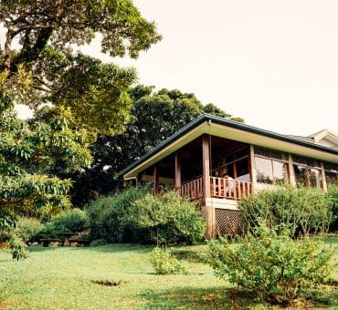 A Luxury Hotel in the Clouds: A Stay at Senda Monteverde