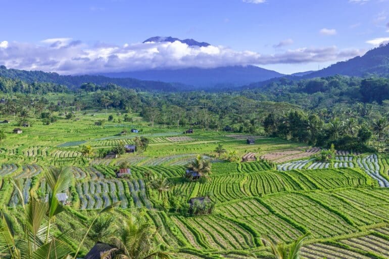 Experience Bali’s Ultimate Luxury: Crafting Your Perfect Day