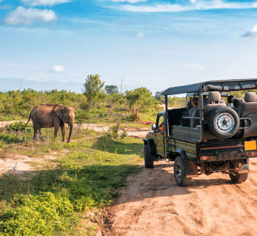 The Most Incredible Luxury Safari Lodges in South Africa (Where Private Guides Make All the Difference)