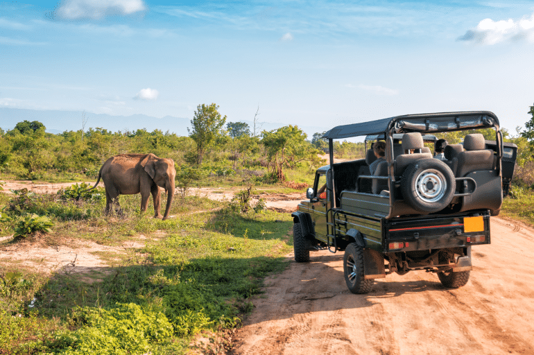 The Most Incredible Luxury Safari Lodges in South Africa (Where Private Guides Make All the Difference)