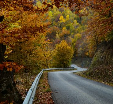 The Art Of The Cozy Drive: How To Master A Cold Weather Road Trip In Style