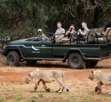 The Ultimate 2026 Africa Safari Bucket List