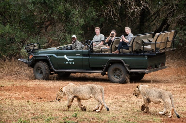 The Ultimate 2026 Africa Safari Bucket List