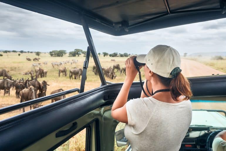 Woman tourist on safari in Africa, traveling by car with an open roof of Kenya and Tanzania, watching zebras and antelopes in the savannah.<br /> National park Serengeti
