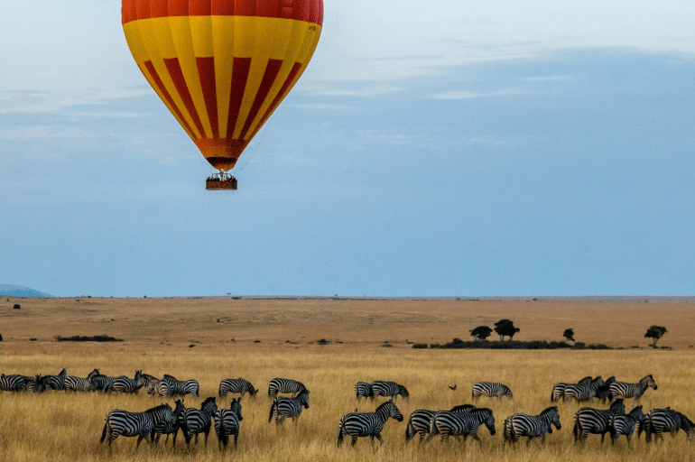 What to Expect on a Guided Kenya Safari: A Complete Overview