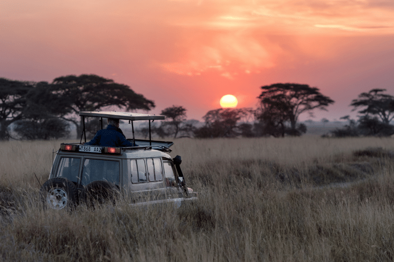 The New Standard of Wilderness: Redefining the Luxury Safari