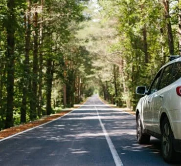 Top 3 Road Trip Essentials Everyone Needs