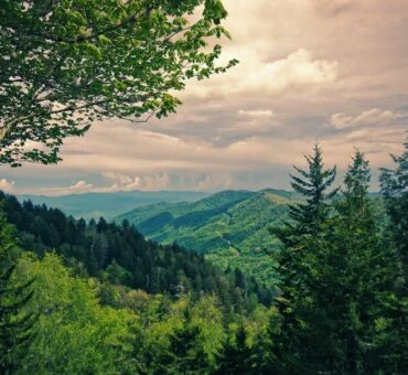 8 Tips to Add a Luxurious Touch to Your Next Adventure in the Smokies