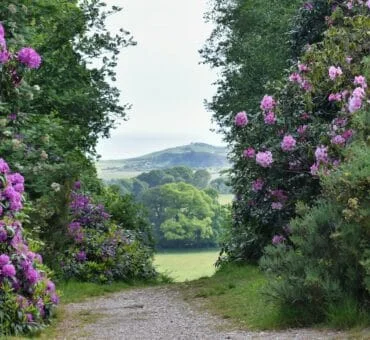 Discovering UK’s Most High-End Walking Trails with Scenic Paths