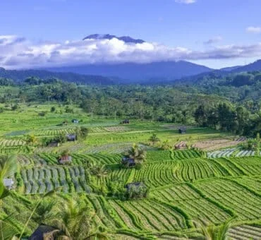 Experience Bali’s Ultimate Luxury: Crafting Your Perfect Day