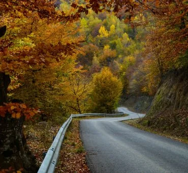 The Art Of The Cozy Drive: How To Master A Cold Weather Road Trip In Style