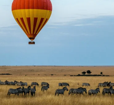 What to Expect on a Guided Kenya Safari: A Complete Overview