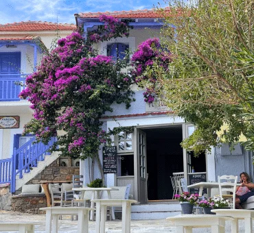 A Secluded Greek Island Escape: Where to Stay in Alonissos