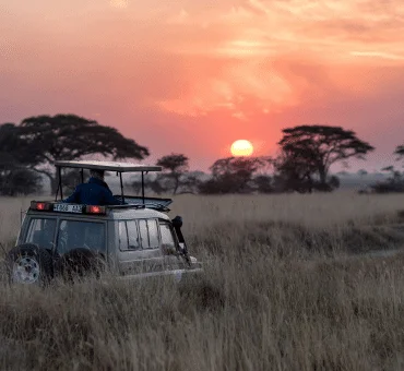 The New Standard of Wilderness: Redefining the Luxury Safari